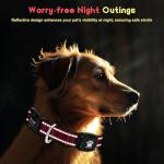 GPS Dog Collar Tracker for Small Dogs - Red