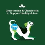 Greenies Hip and Joint Supplements for Dogs, 80 Count