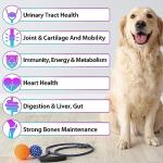 15-in-1 Liquid Multivitamin Drops for Dogs