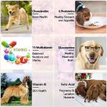 15-in-1 Liquid Multivitamin Drops for Dogs