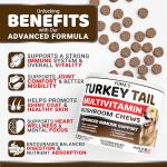 Turkey Tail Mushroom Chews for Dogs - 170 Count
