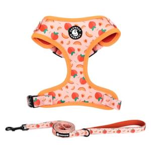 Adjustable Dog Harness and Leash Set for Walking