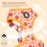 Adjustable Dog Harness and Leash Set for Walking