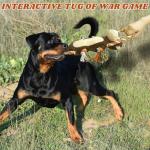 Durable Squeaky Plush Monkey Toy for Dogs