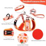 Adjustable Dog Harness and Leash Set for Walking
