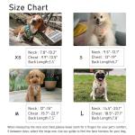 Adjustable Dog Harness and Leash Set for Walking