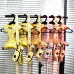 Adjustable Dog Harness and Leash Set for Walking