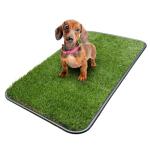 Ottomanson Reusable Grass Potty Pad for Dogs