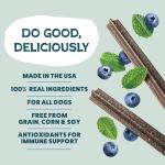 Shameless Pets Grain-Free Dental Chews Variety Pack