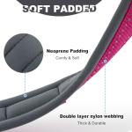 Custom Name Dog Collar with Reflective Padding