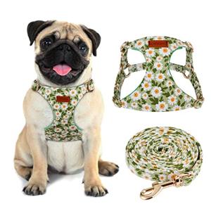 No Pull Floral Dog Harness and Leash Set