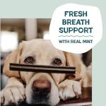 Shameless Pets Grain-Free Dental Chews Variety Pack