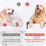 Portable Waterproof Elevated Dog Bed in Red