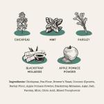 Chickpea & Mint Dog Dental Chew Sticks 10oz