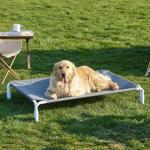 ZOMISIA Elevated Dog Bed for Large Pets
