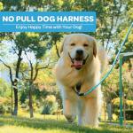 FURRYFECTION No Pull Reflective Dog Harness - Blue