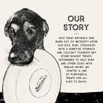 Chickpea & Mint Dog Dental Chew Sticks 10oz