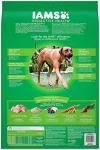 IAMS Proactive Health Large Breed Dog Food, Chicken