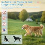 Automatic Dog Ball Launcher with Remote Control