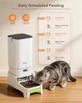 MUBBI Automatic Dog Feeder with Elevated Stand