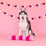 Fringe Studio Large Love Bug Plush Dog Toy