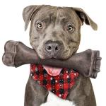 Indestructible Dog Chew Toys for Aggressive Chewers