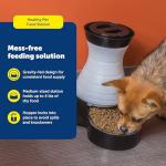 PetSafe Healthy Pet Automatic Dog & Cat Feeder