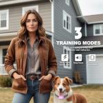 Heaflex Remote Dog Training Shock Collar