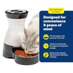 PetSafe Healthy Pet Automatic Dog & Cat Feeder