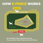 Dogtra Pathfinder 2 GPS Dog Tracker and E-Collar