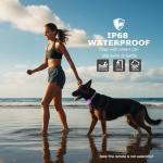 Heaflex Remote Dog Training Shock Collar