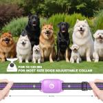 Heaflex Remote Dog Training Shock Collar