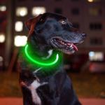 USB Rechargeable LED Dog Collar - Night Safety Light
