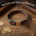 Luxury Durable Dog Collar with Metal Buckle