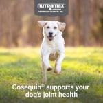 Nutramax Cosequin Joint Health Soft Chews for Dogs