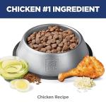 Hill's Science Diet Chicken Dog Food for Sensitive Stomach