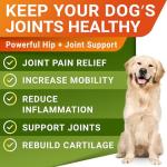 Hemp Chews for Dogs - Hip & Joint Support