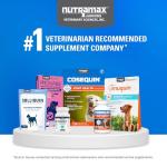 Nutramax Cosequin Joint Health Soft Chews for Dogs