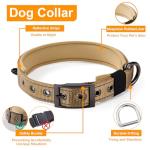 No Pull Dog Harness and Reflective Leash Set