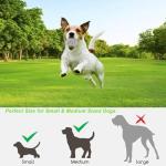 Automatic Ball Launcher for Small to Medium Dogs