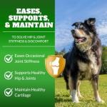 Glucosamine Chews for Joint Support in Dogs