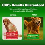 Glucosamine Chews for Joint Support in Dogs