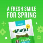 Minties Dental Chews for Dogs 25-50 lbs, 60 Count