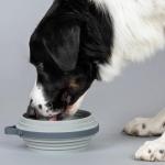 Cleverpup Nomad Collapsible Travel Dog Bowl - Grey