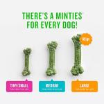 Minties Dental Chews for Dogs 25-50 lbs, 60 Count