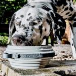 Cleverpup Nomad Collapsible Travel Dog Bowl - Grey