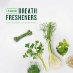 Minties Dental Chews for Dogs 25-50 lbs, 60 Count