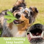 MewaJump Durable Cactus Dog Chew Toy