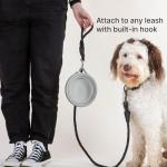 Cleverpup Nomad Collapsible Travel Dog Bowl - Grey