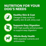 IAMS Proactive Health Healthy Aging Wet Dog Food